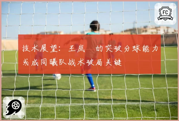 技术展望：王岚嵚的突破分球能力或成同曦队战术破局关键